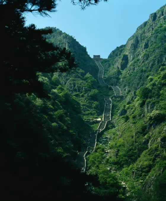 小气茶加盟费多少钱 小气茶茶饮进步空间广阔，开店经营无忧